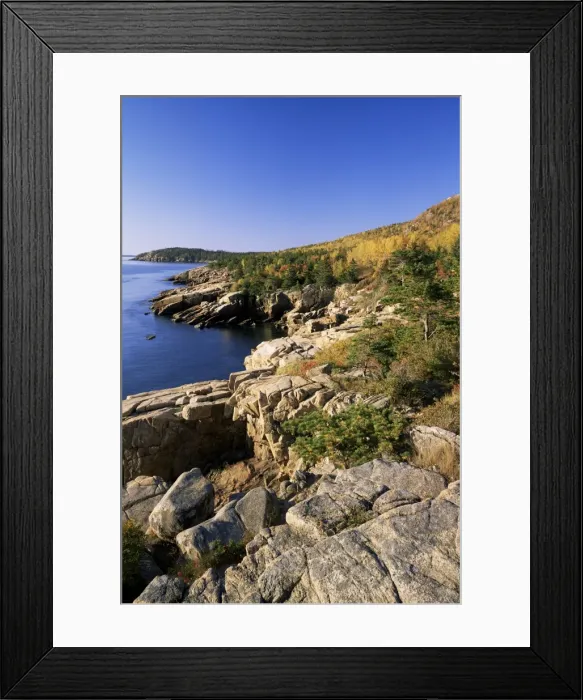 Framed Print : Coastline, Acadia National Park Framed Print : Coastline, Acadia National Park