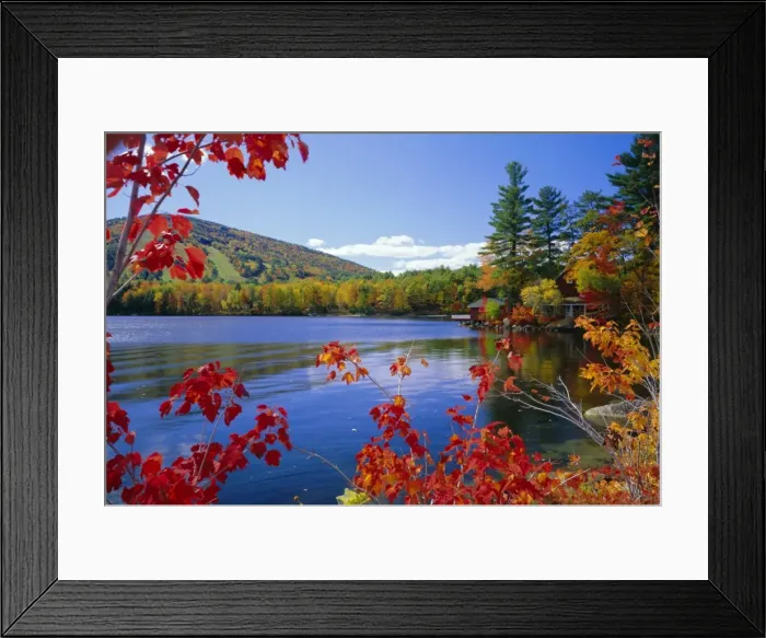 Framed Print : Fall colours Framed Print : Fall colours
