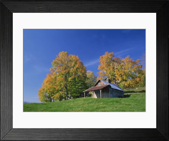 Framed Print : Wooden barn building and trees in fall colours Framed Print : Wooden barn building and trees in fall colours