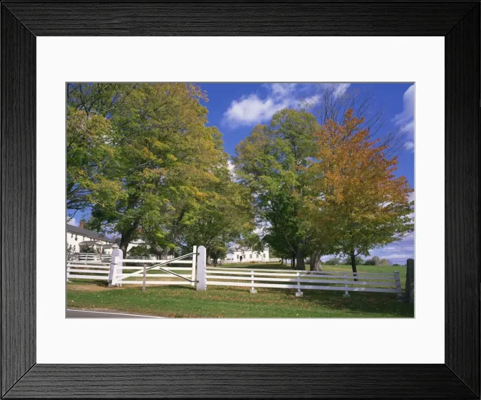Framed Print : White picket fence Framed Print : White picket fence