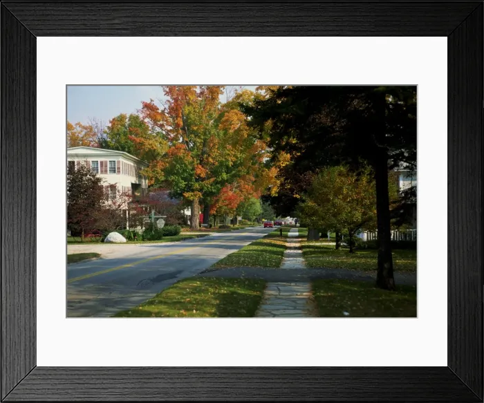 Framed Print : Suburban street scene in the autumn (fall)