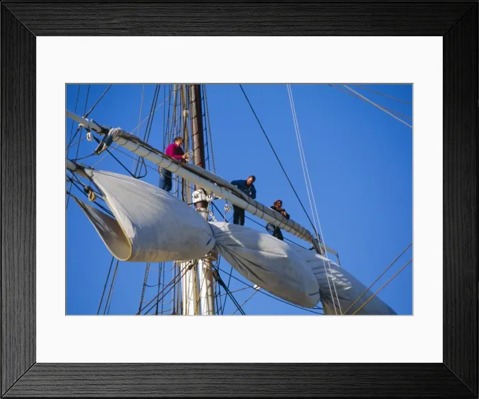 Framed Print : Sail furling at the Living Maritime Museum Framed Print : Sail furling at the Living Maritime Museum
