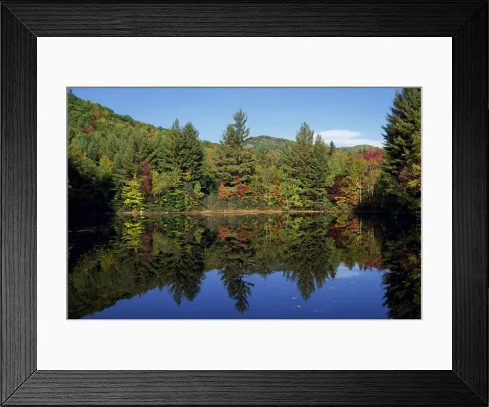 Framed Print : Tranquil scene of trees in autumn (fall) foliage reflected in a lake Framed Print : Tranquil scene of trees in autumn (fall) foliage reflected in a lake