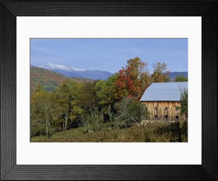 Framed Print : An old wooden farm building and trees in fall colours Framed Print : An old wooden farm building and trees in fall colours