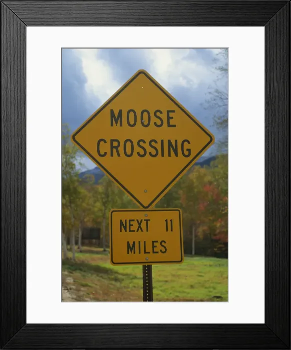 Framed Print : Close-up of a Moose Crossing yellow road sign Framed Print : Close-up of a Moose Crossing yellow road sign