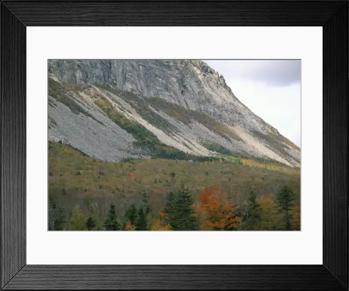 Framed Print : Mountain and trees in autumn (fall) Framed Print : Mountain and trees in autumn (fall)