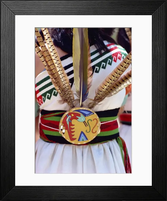 Framed Print : Close-up of the belt and feathers from the costume Framed Print : Close-up of the belt and feathers from the costume