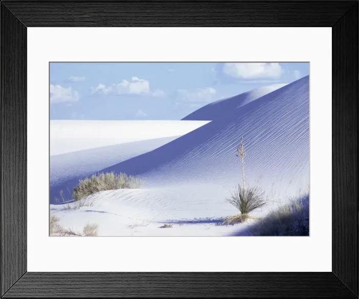 Framed Print : Sand dunes Framed Print : Sand dunes