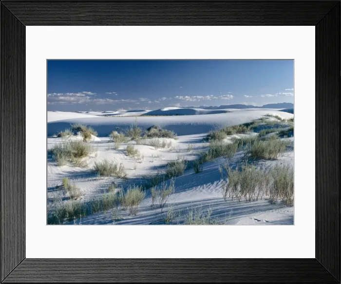 Framed Print : White Sands desert, New Mexico, United States of America (U Framed Print : White Sands desert, New Mexico, United States of America (U