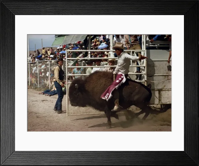 Framed Print : Rodeo riding Framed Print : Rodeo riding