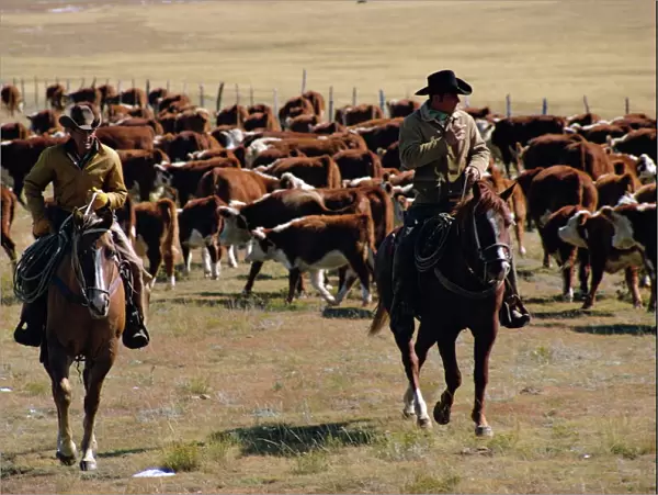 Two cowboys on horseback