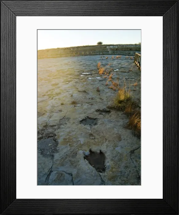 Framed Print : Dinosaur Tracks Framed Print : Dinosaur Tracks