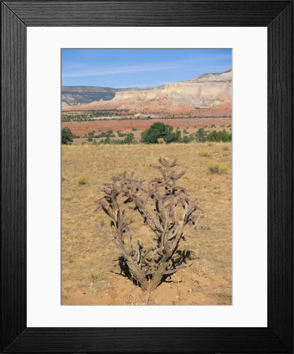 Framed Print : Rio Arriba County Framed Print : Rio Arriba County