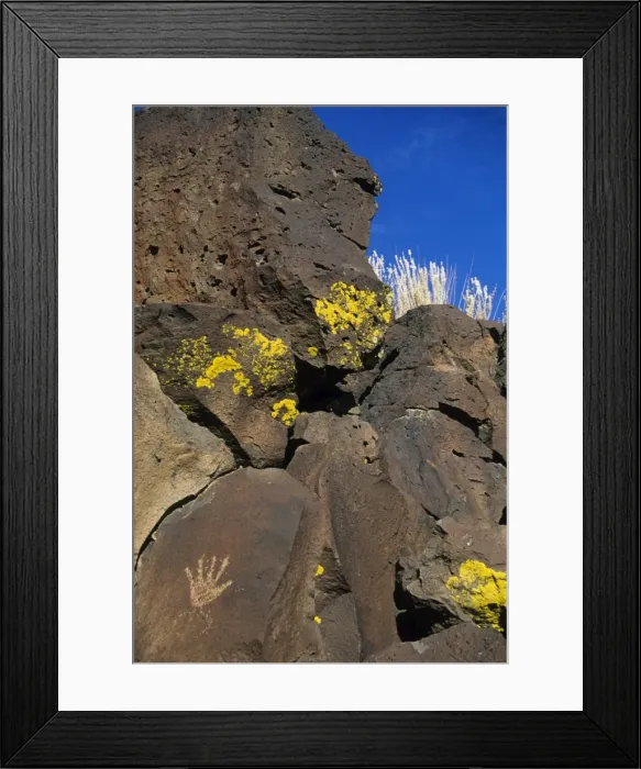 Framed Print : Petroglyphs Framed Print : Petroglyphs