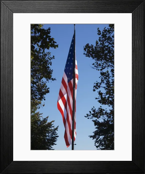 Framed Print : Stars and Stripes Framed Print : Stars and Stripes
