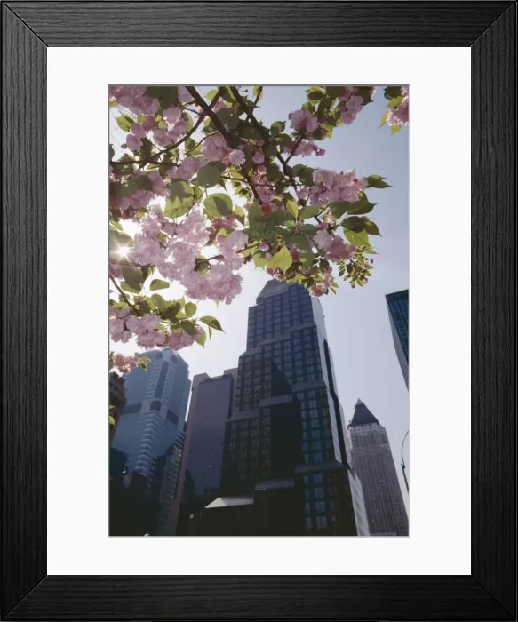 Framed Print : 50th Street looking west to 7th Avenue Framed Print : 50th Street looking west to 7th Avenue