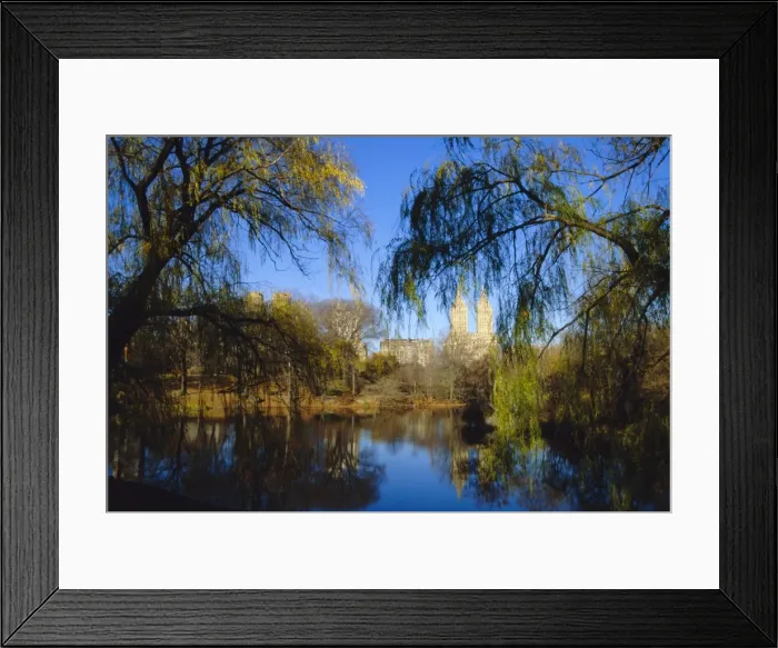 Framed Print : Central Park Framed Print : Central Park