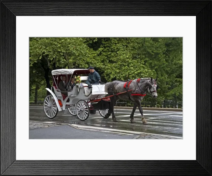 Framed Print : Horse carriage in Central Park
