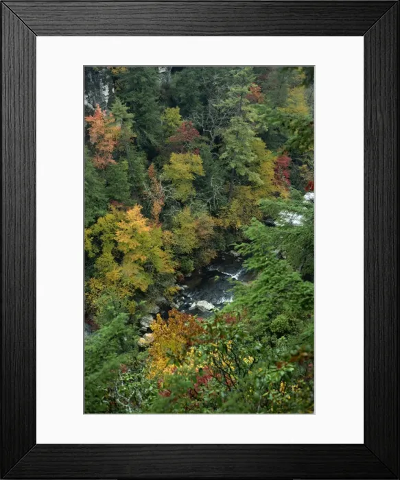Framed Print : Aerial view over river running through the Linville Framed Print : Aerial view over river running through the Linville