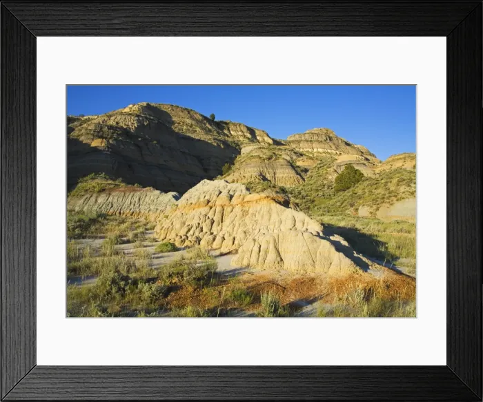 Framed Print : _MG_2564. Theodore Roosevelt National Park North Unit Framed Print : _MG_2564. Theodore Roosevelt National Park North Unit
