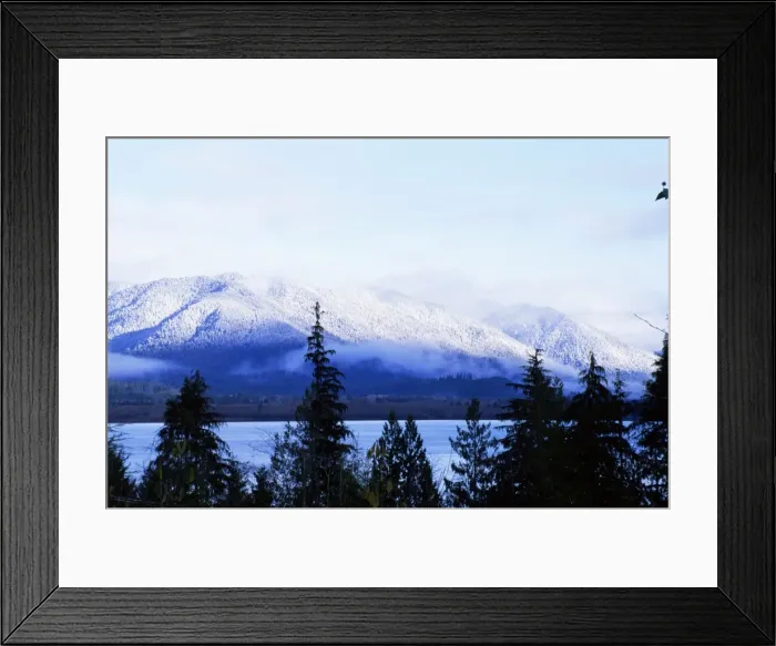 Framed Print : Lake Quinault Framed Print : Lake Quinault