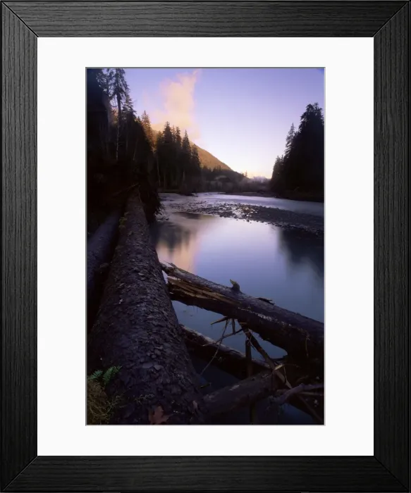 Framed Print : Sunset over the Hoh River Framed Print : Sunset over the Hoh River
