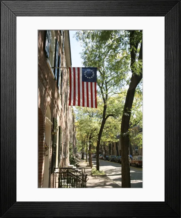 Framed Print : Historic flag Framed Print : Historic flag