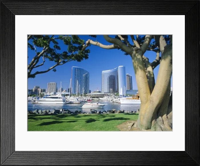Framed Print : Embarcadero Marina Framed Print : Embarcadero Marina