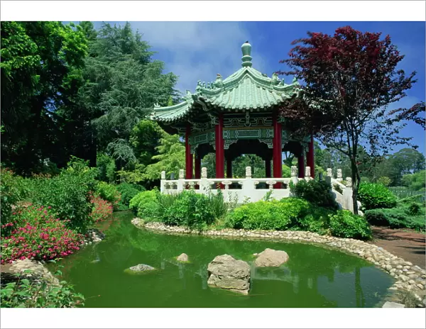 Chinese pavilion by a pond in the Golden Gate Park in San Francisco