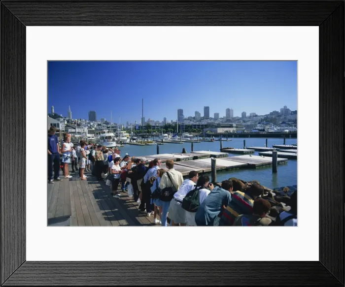 Framed Print : Tourists watching sea lions on Pier 39 Framed Print : Tourists watching sea lions on Pier 39
