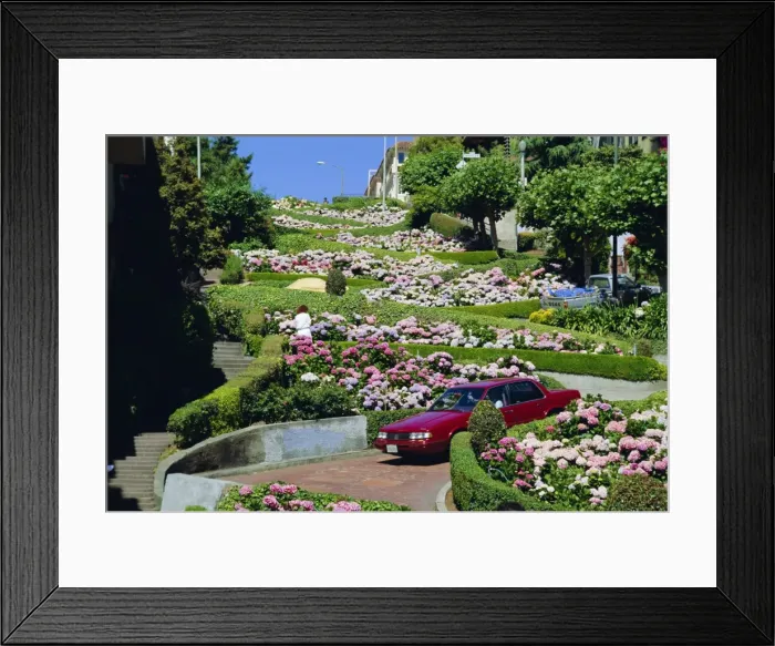 Framed Print : Driving down Lombard Street Framed Print : Driving down Lombard Street