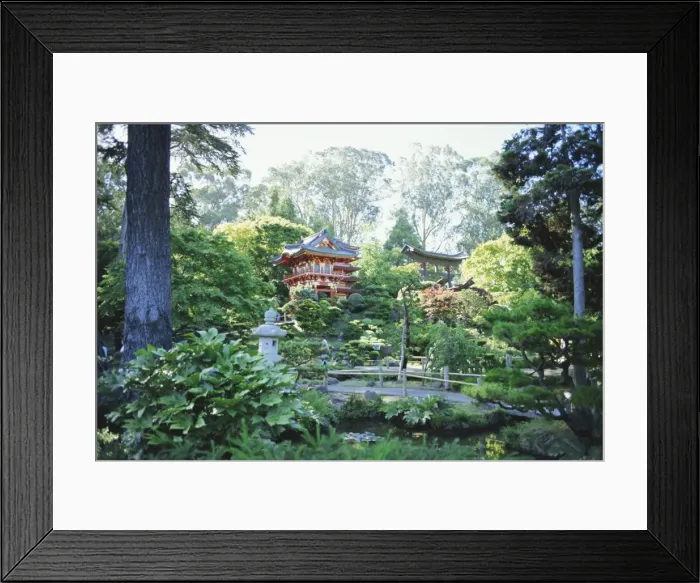 Framed Print : The Japanese Tea Garden Framed Print : The Japanese Tea Garden
