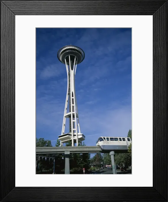 Framed Print : The Space Needle Framed Print : The Space Needle
