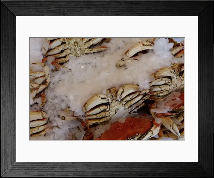 Framed Print : Img085Washington06 Framed Print : Img085Washington06