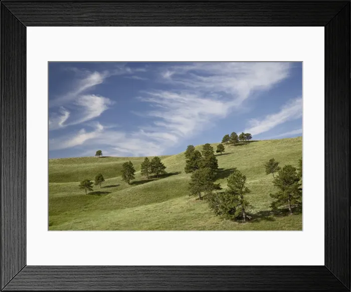 Framed Print : 27723_work