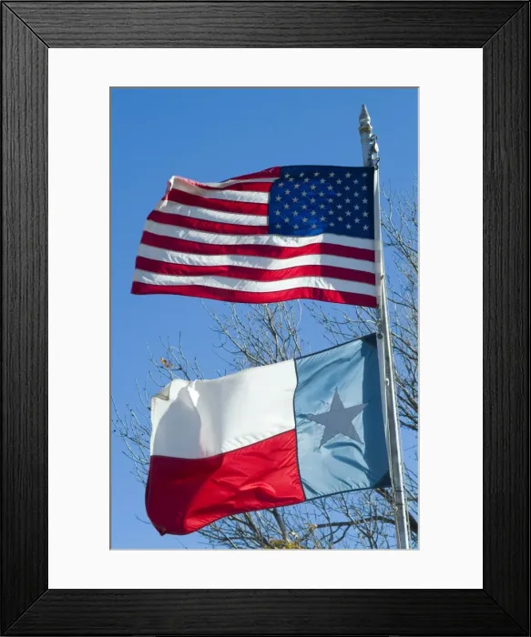 Framed Print : American and Texan flags