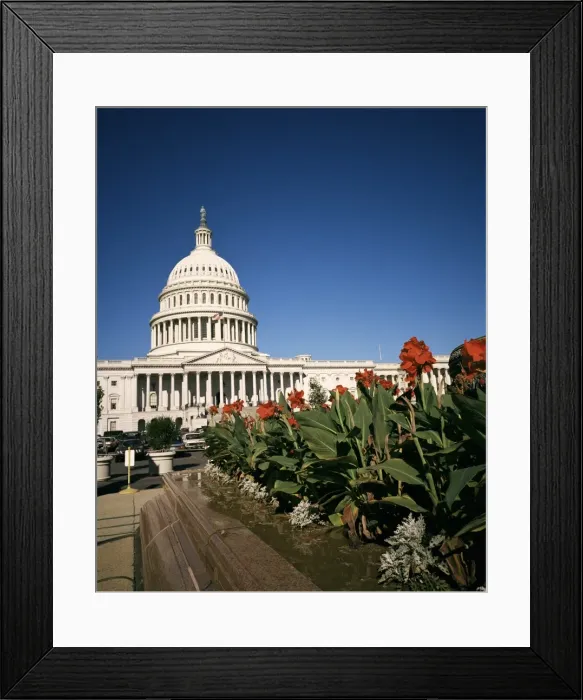 Framed Print : The Capitol Building from the east, Washington D Framed Print : The Capitol Building from the east, Washington D