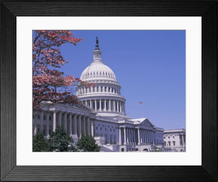 Framed Print : The east side of the Capitol, Washington D Framed Print : The east side of the Capitol, Washington D