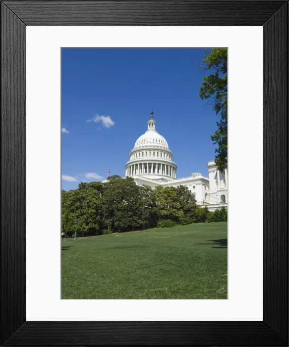 Framed Print : U. S. Capitol Building, Washington D Framed Print : U. S. Capitol Building, Washington D