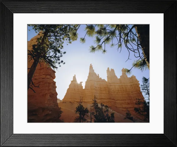 Framed Print : Queens Garden Framed Print : Queens Garden