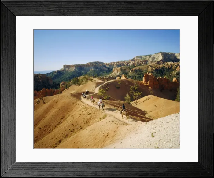 Framed Print : Trail riding Framed Print : Trail riding