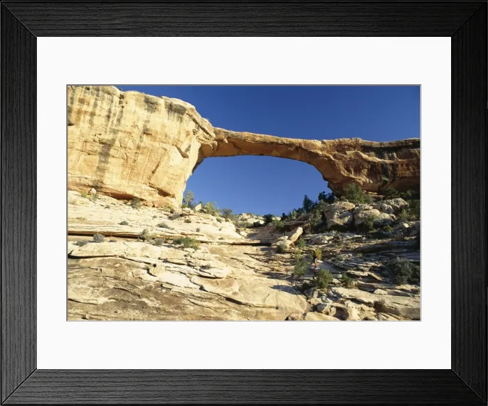 Framed Print : Owachomo Bridge