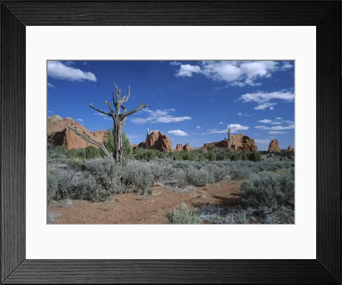 Framed Print : Kodachrome Basin State Park, Utah, United States of America (U Framed Print : Kodachrome Basin State Park, Utah, United States of America (U