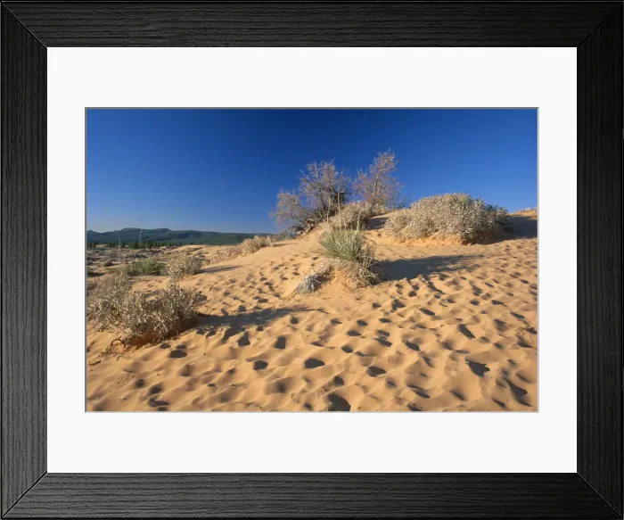 Framed Print : Coral Pink Sand Dunes State Park, Utah, United States of America (U Framed Print : Coral Pink Sand Dunes State Park, Utah, United States of America (U
