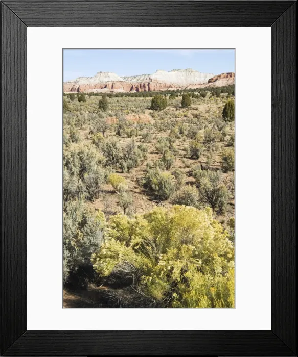 Framed Print : _LEF5179. Kodachrome Basin State Park, Utah, United States of America, North America