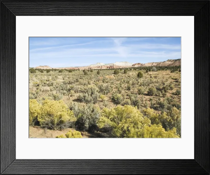 Framed Print : _LEF5178. Kodachrome Basin State Park, Utah, United States of America, North America