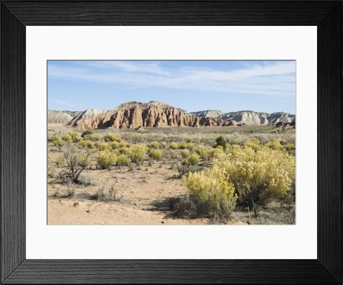 Framed Print : _LEF5174. Landscape near Kodachrome Basin State Park Framed Print : _LEF5174. Landscape near Kodachrome Basin State Park