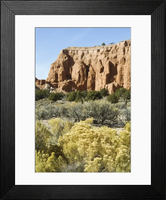Framed Print : _LEF5189. Kodachrome Basin State Park, Utah, United States of America, North America