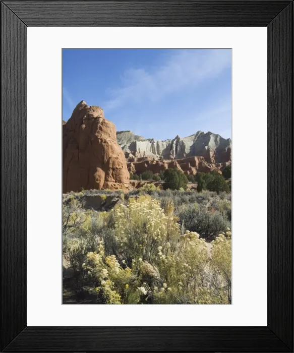 Framed Print : _LEF5221. Kodachrome Basin State Park, Utah, United States of America, North America