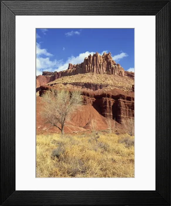 Framed Print : The Castle, Capitol Reef National Park Framed Print : The Castle, Capitol Reef National Park